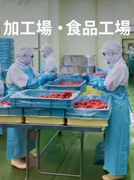 加工場・食品工場
